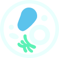 card header icon